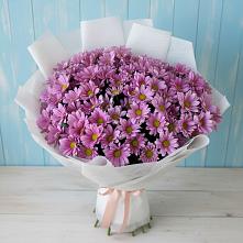 Букет цветов из:  Хризантемы в Посёлке Пеледуй