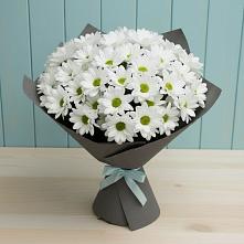 Букет цветов из:  Хризантемы в Посёлке Пеледуй