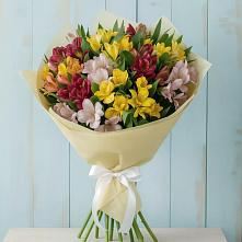 Букет цветов из:  Альстромерии #REPLACE_PRED# Посёлке Пеледуй